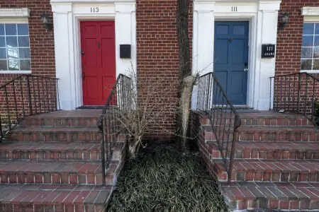 10fb0e15 1955 438d 80a5 ce5d856959a0.jpg