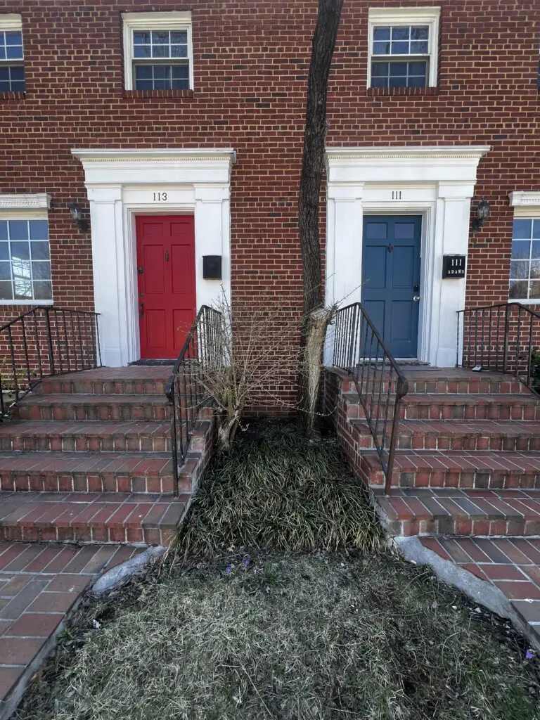 10fb0e15 1955 438d 80a5 ce5d856959a0.jpg