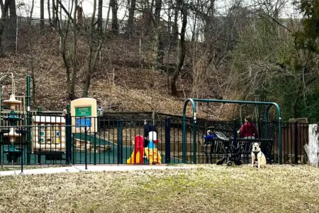 14b7fc52 5d82 4615 8c43 ddc6aed8e746.jpg