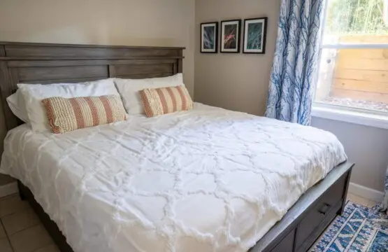 36408b84 2ebf 40eb 828d ec7899124815.jpg