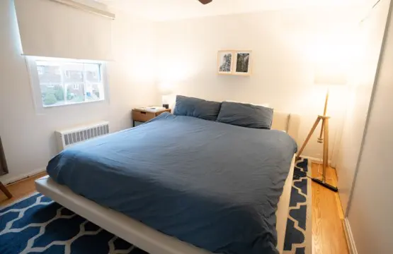 485e6c26 d26c 49af a593 adbab5b60a9c.jpg