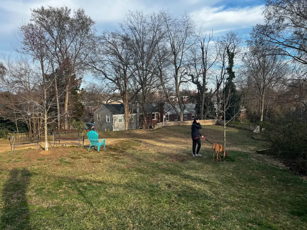 50842798 fefd 45ae 8bba 0fb3bfa25f00.jpg