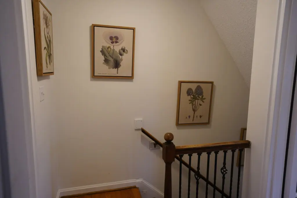 54ea3c4b a8c6 442d a5ca ec5c5acd7606.jpg