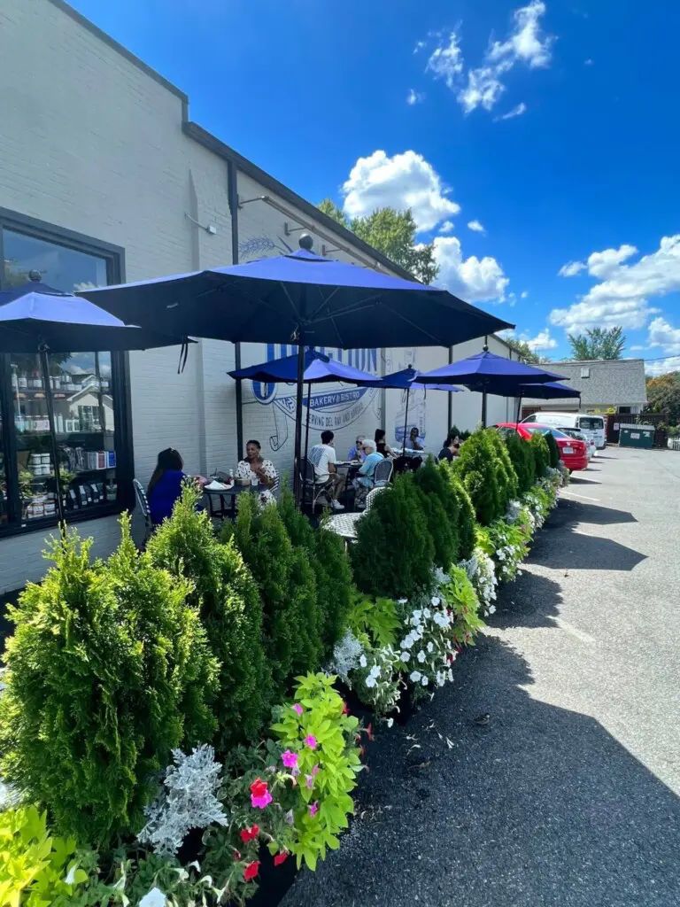 65bee207 79b7 4dd4 a6d6 5d66d1cbd7db.jpg