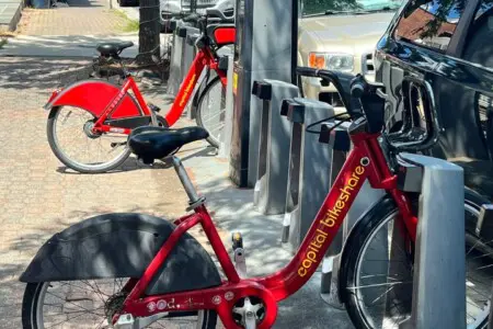 88b6ab48 30f7 46b2 b654 50f0d6d1d8d8.jpg