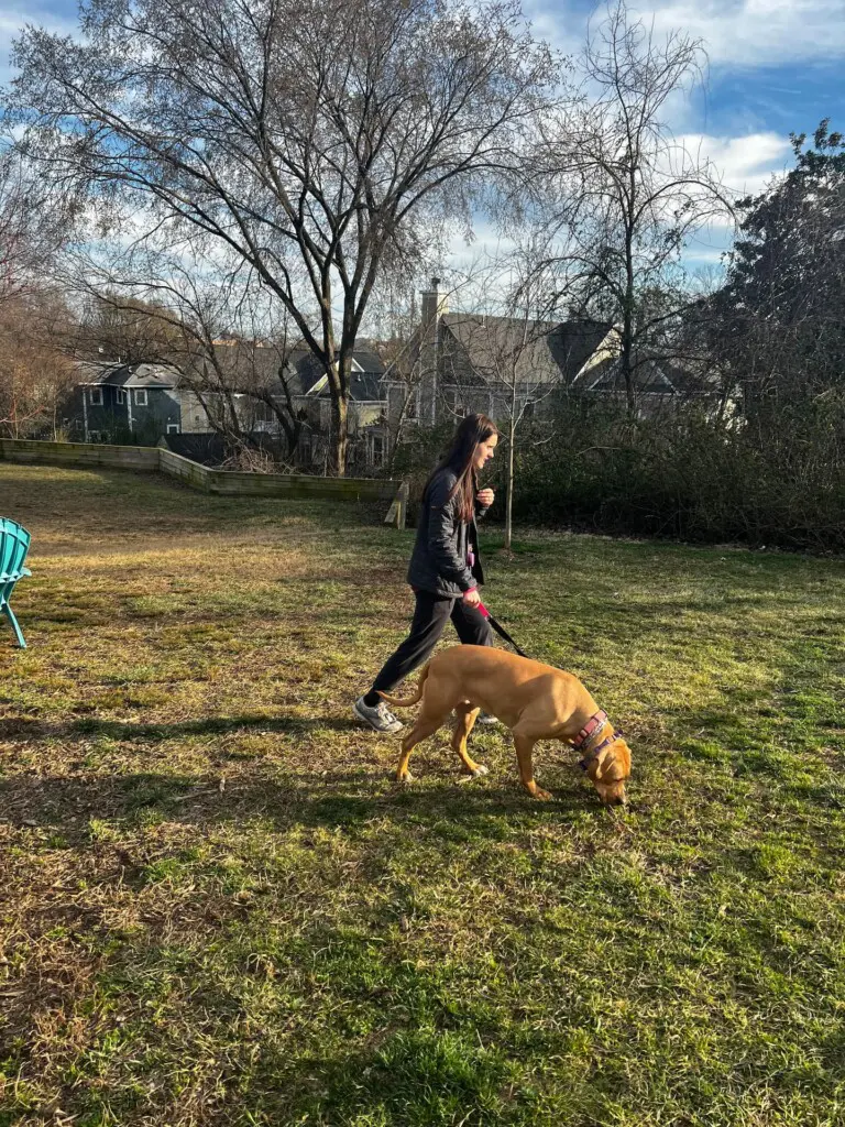 a01de878 f7dc 49f9 88a5 780ae404e26c.jpg