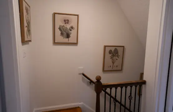 a1cb0875 ea0d 43b7 9c03 39661be4ba84.jpg